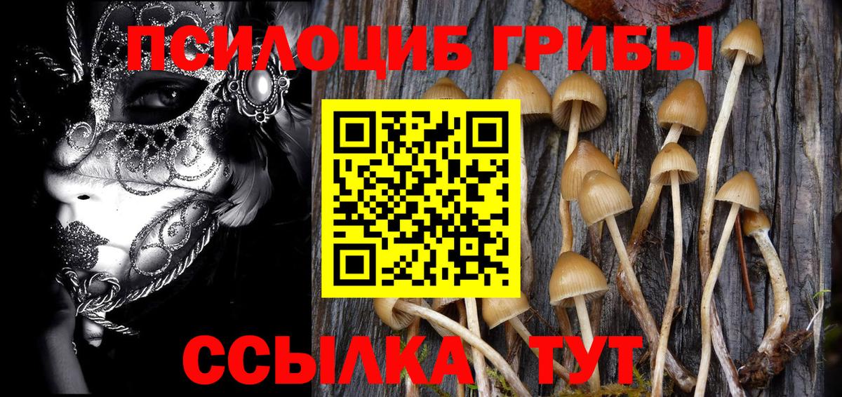 Псилоцибиновые грибы Magic Shrooms Москва